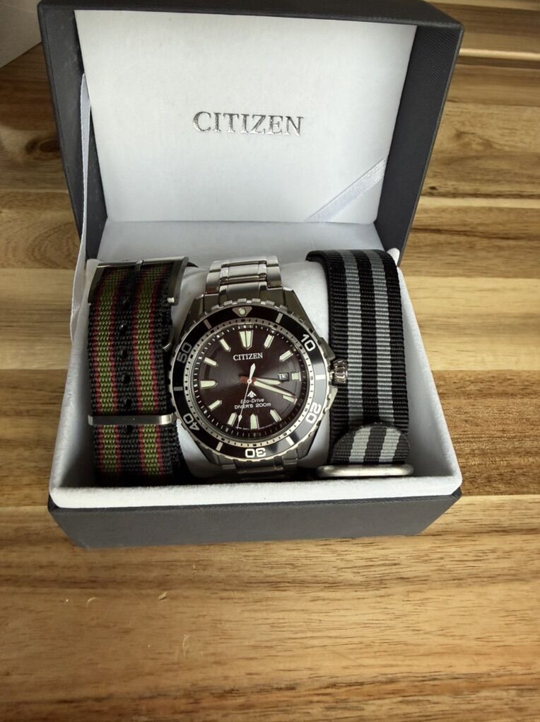 Citizen Pro Master