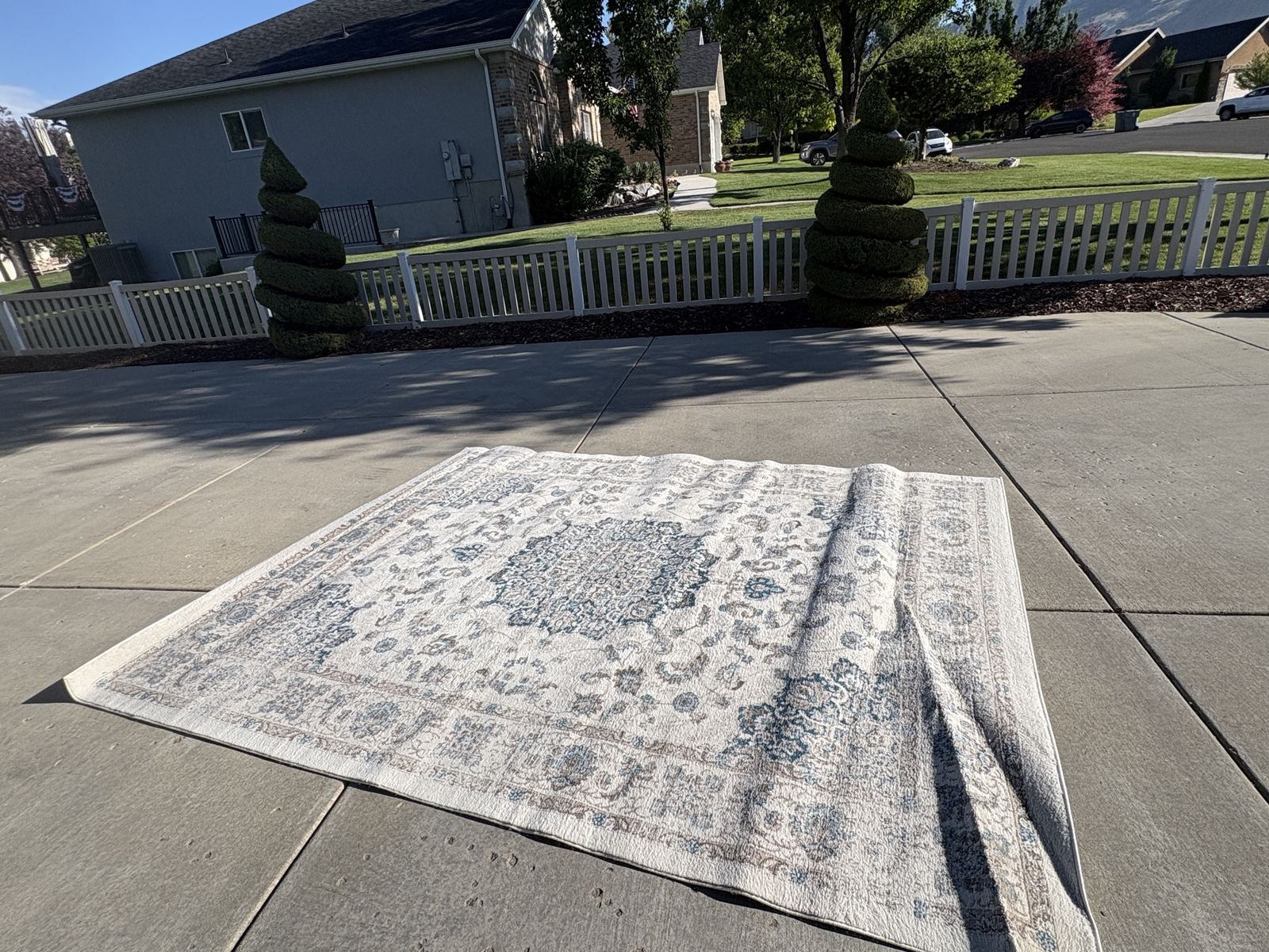 Large Area Rug 8X10- Light Blue and Cream Floral Pattern - Clean & Excellent Condition
