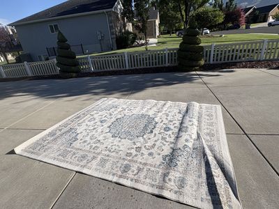 Large Area Rug 8X10- Light Blue and Cream Floral Pattern - Clean & Excellent Condition