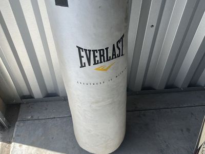 Everlasting heavy bag / speed bag