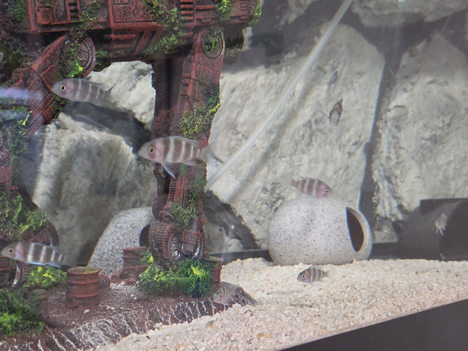 Main image 3