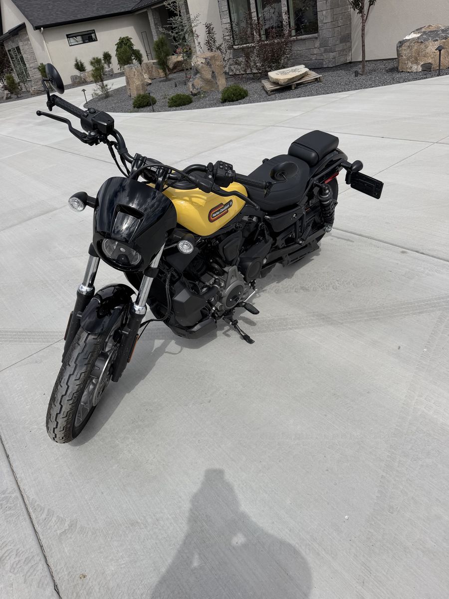 Harley Davidson 2023 Nightster Special Motorcycle in Vivid Yellow & Black with a clean title.