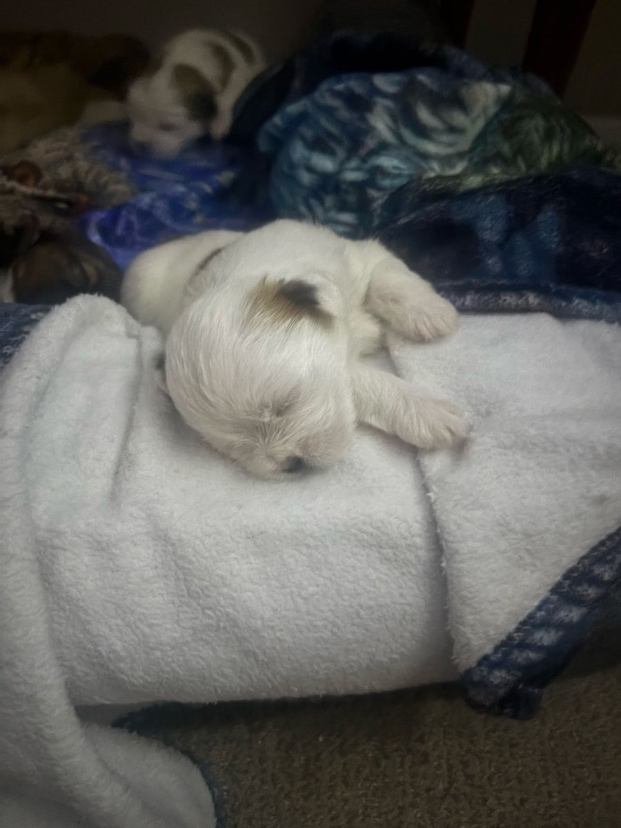 Big Yardsale May 2, 2026!!!