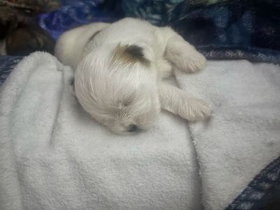 Big Yardsale May 2, 2026!!!