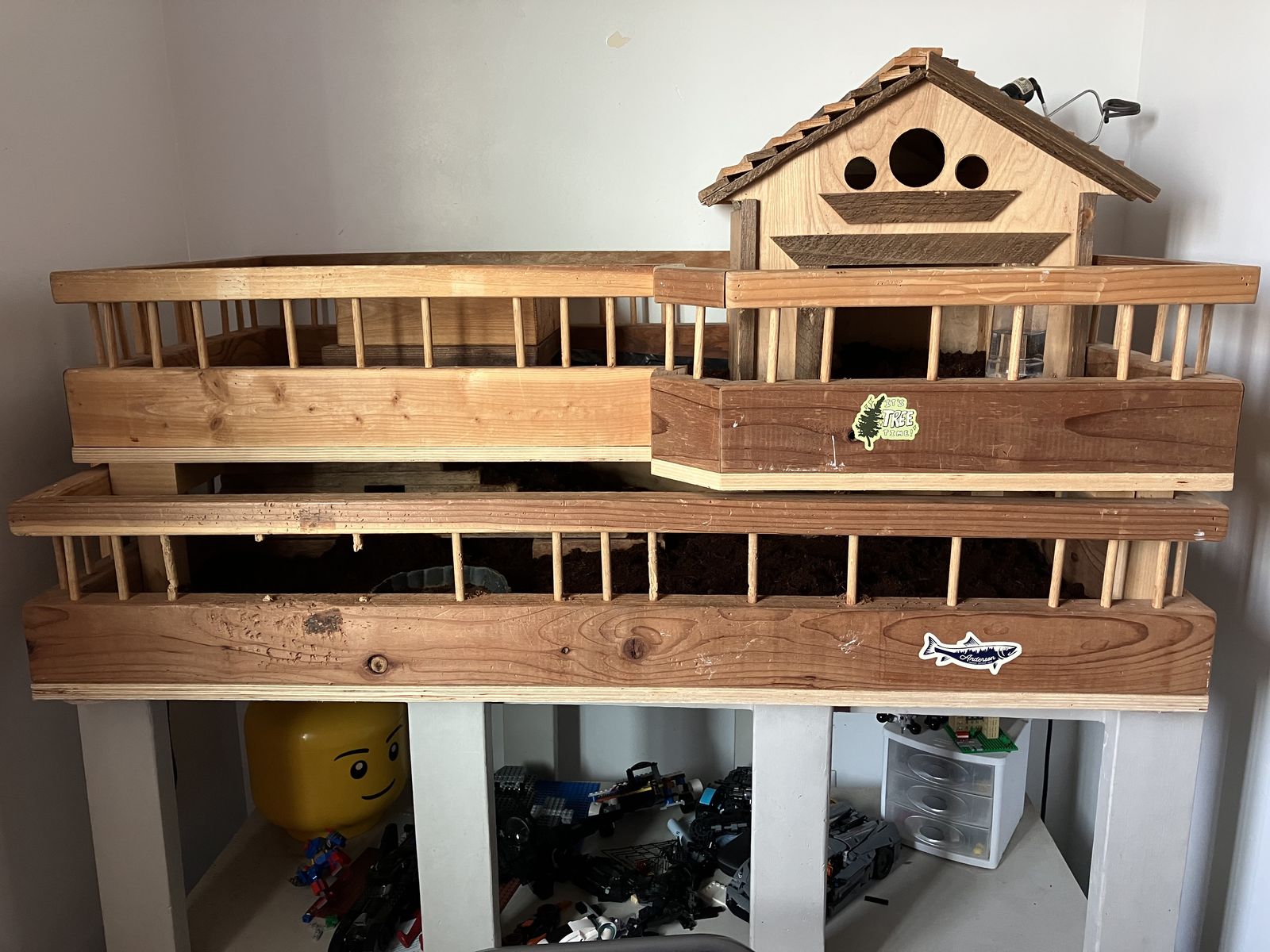 Tortoise Mansion and 2 Male Tortoises for sale