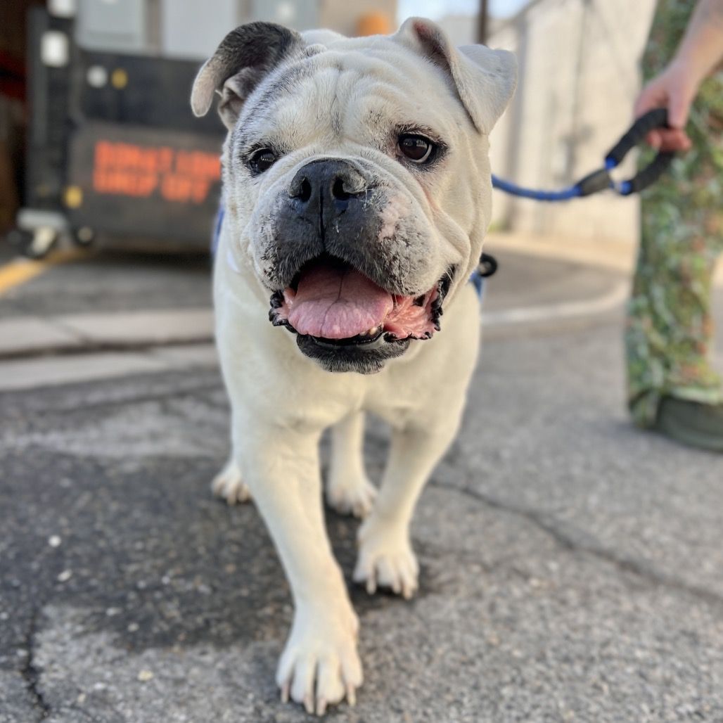 Hello my name is Diana