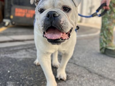 Hello my name is Diana