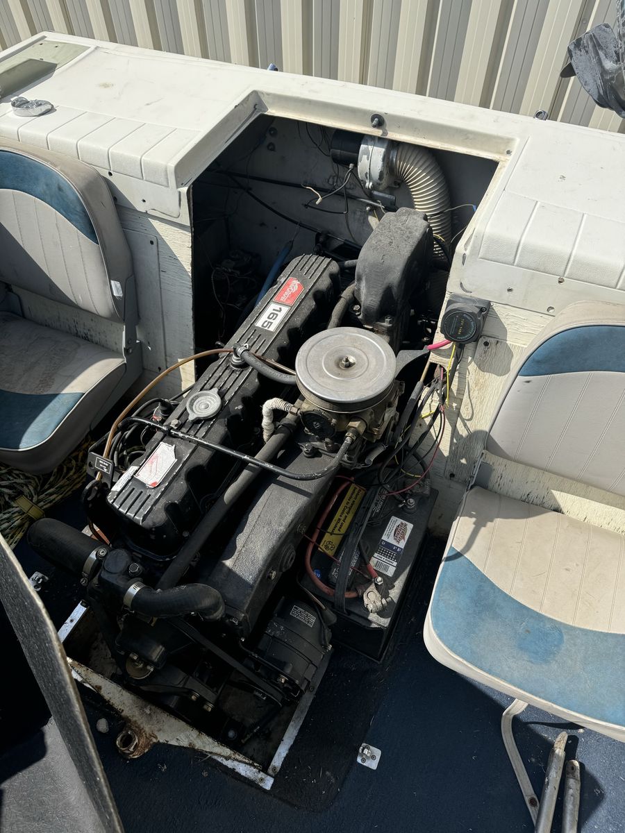 Main image 5