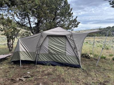 Black Pine Sports Turbo Tent Pineview 8-Person Instant Cabin Tent