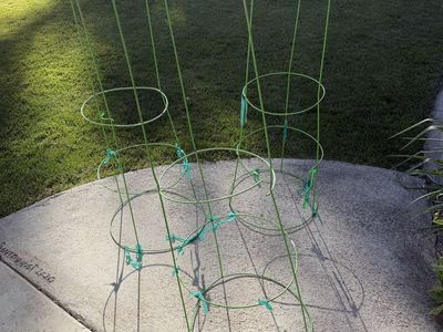 Tomato Cages X 3