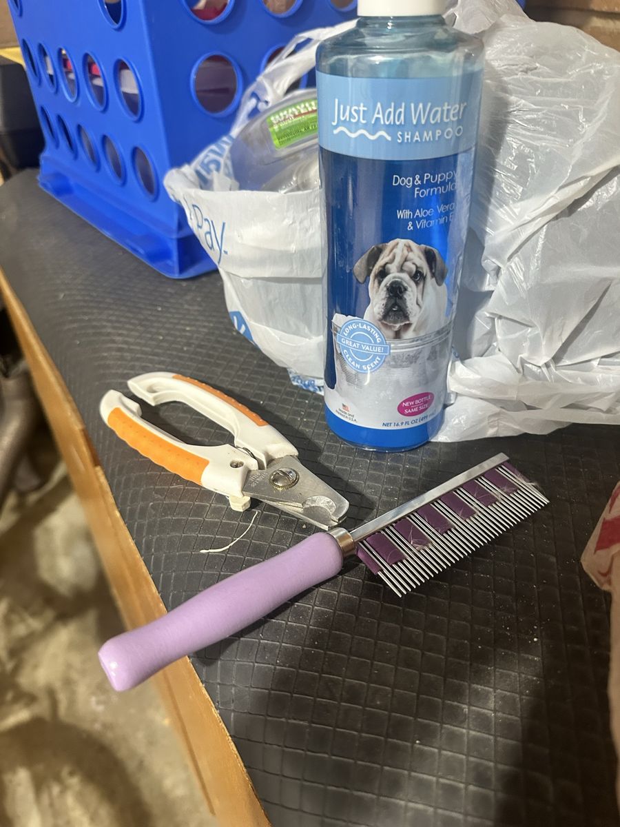 Pet supplies