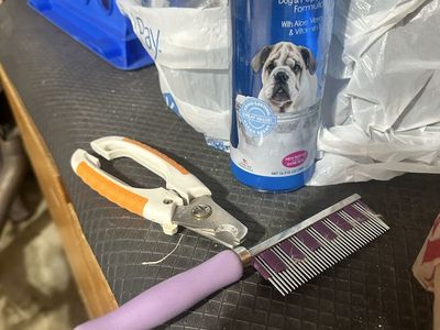 Pet supplies