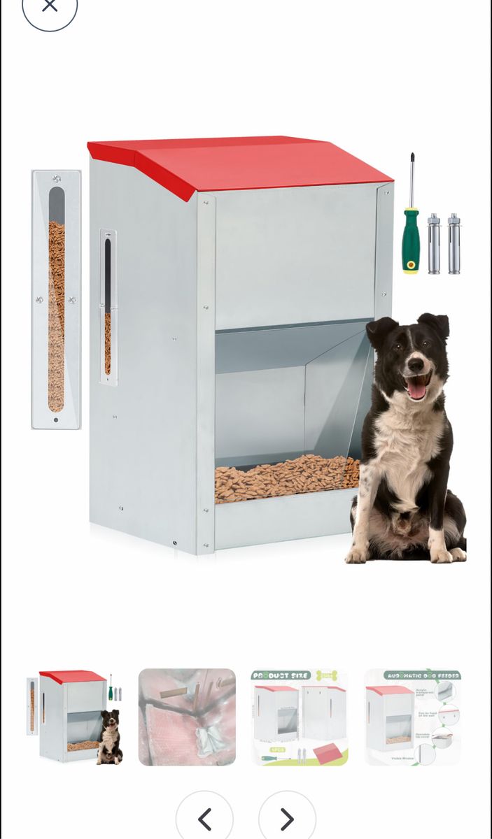 Automatic dog feeder