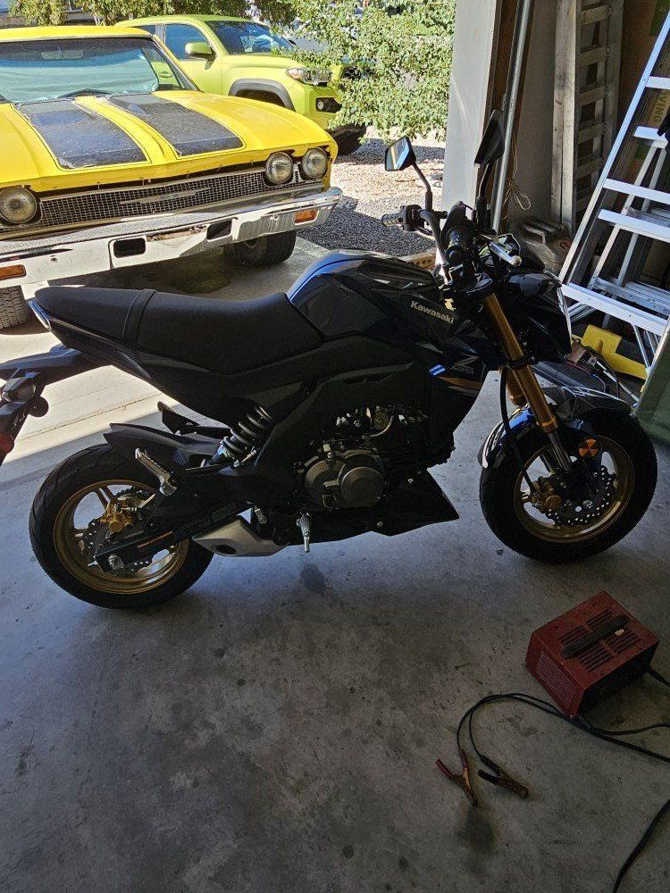 kawasaki z125pro