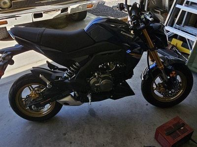 kawasaki z125pro