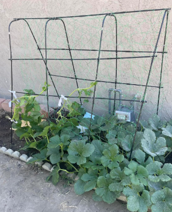 New in box Garden Arch Trellis