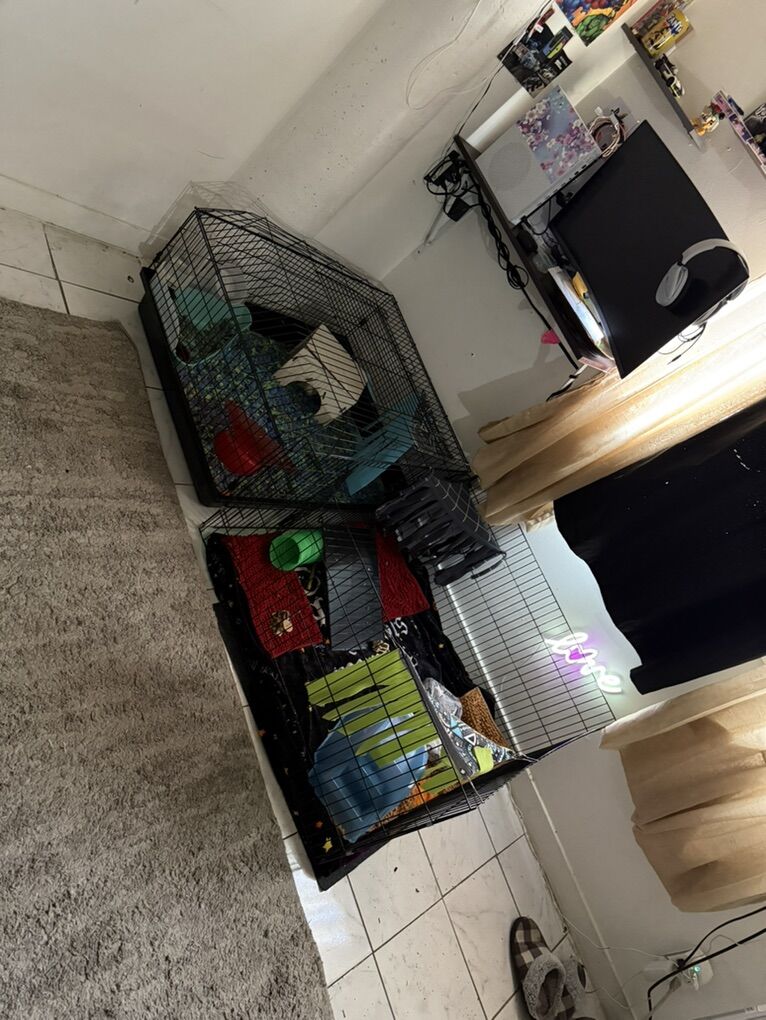 Guinea Pig cage