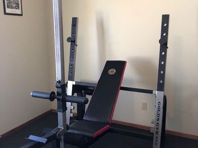 Gold’s Gym Workout Bench Set