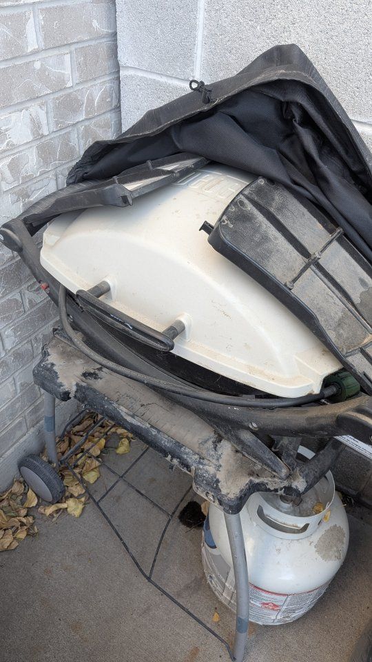 Weber Q200 Gas Grill