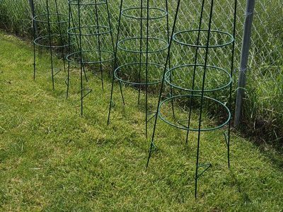 Heavy Duty Tomato / Plant Cages