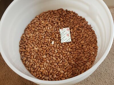 30lb Bucket of Pinto Beans for Food Storage