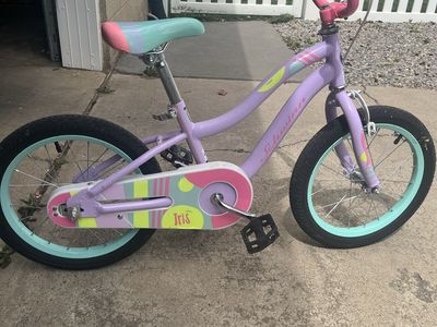 16 Inch Schwinn Iris