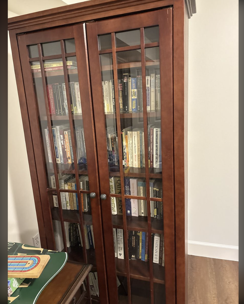 Cabinet / bookshelves