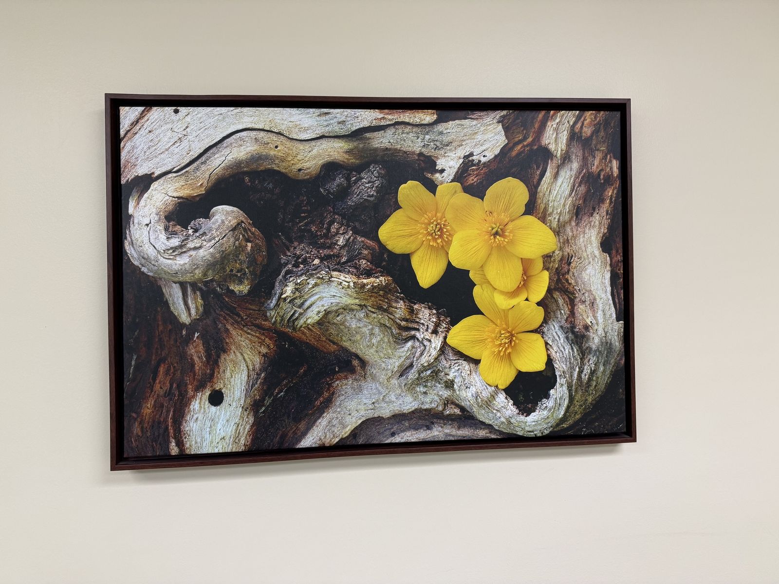 Canvas Picture Framed