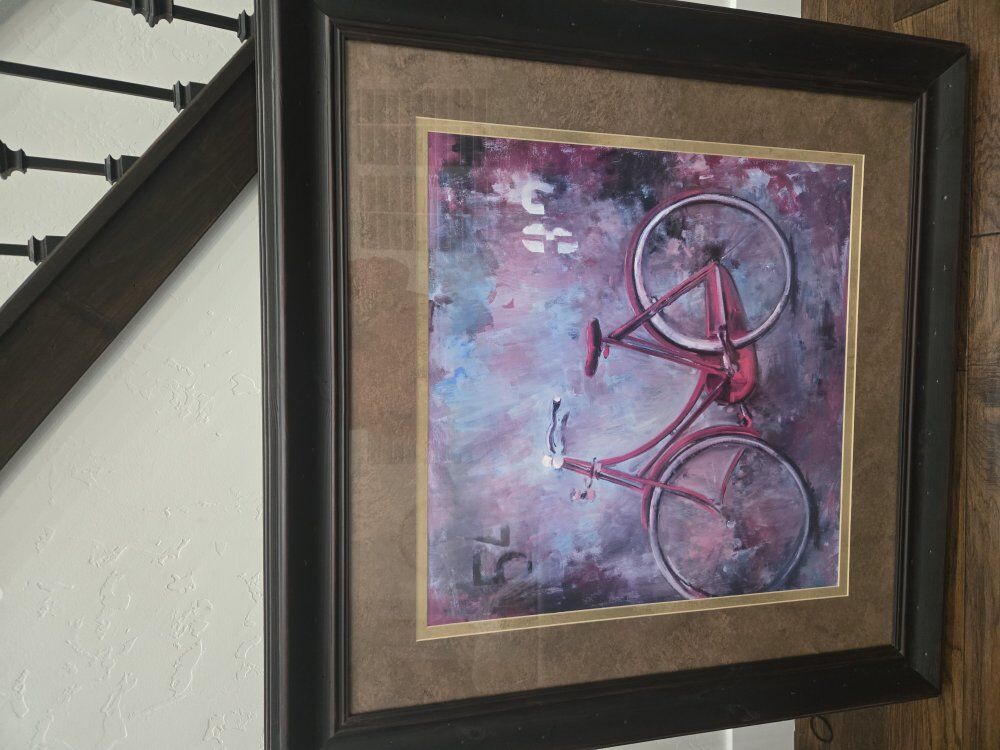 Framed Bike Picture