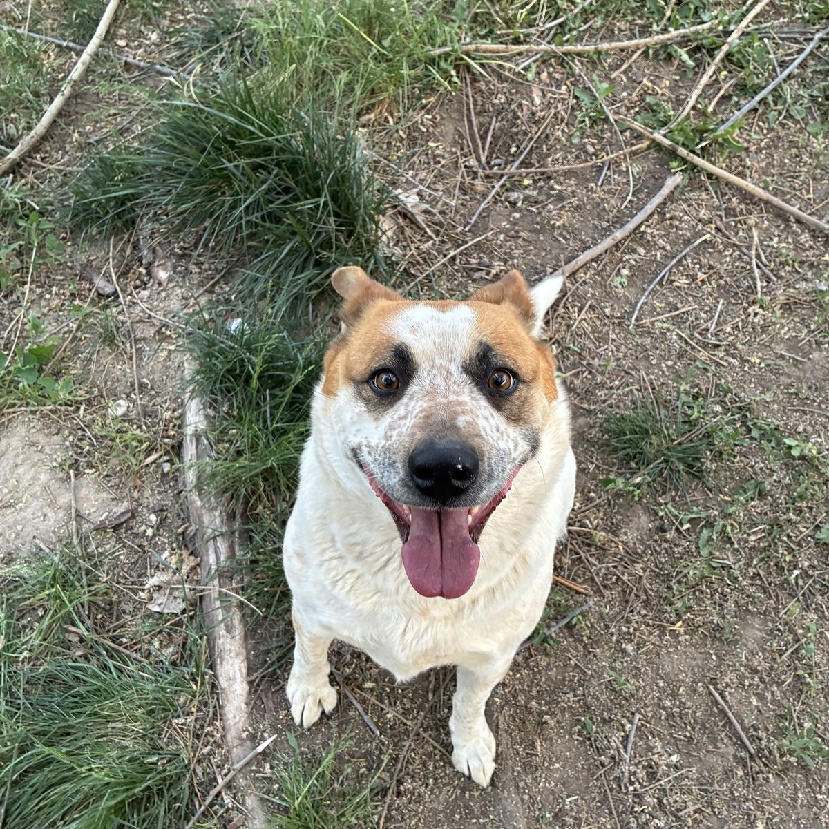 She need a better home!