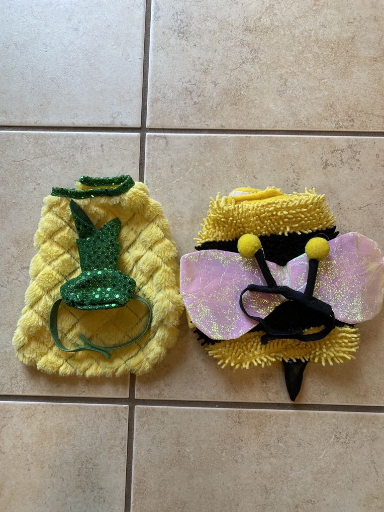 Small Animal Costumes