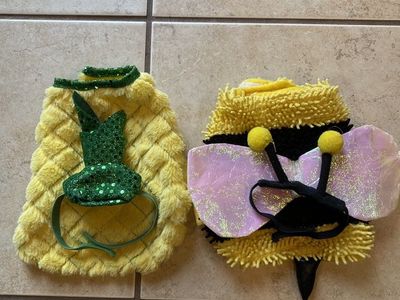 Small Animal Costumes