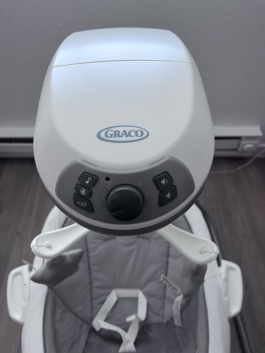 Graco Swing And Bouncer