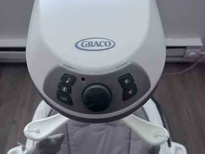 Graco Swing And Bouncer