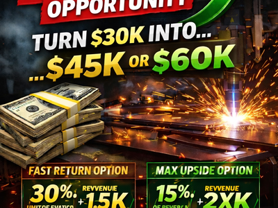 Looking for a $30K business partner to scale a proven digital sales system.