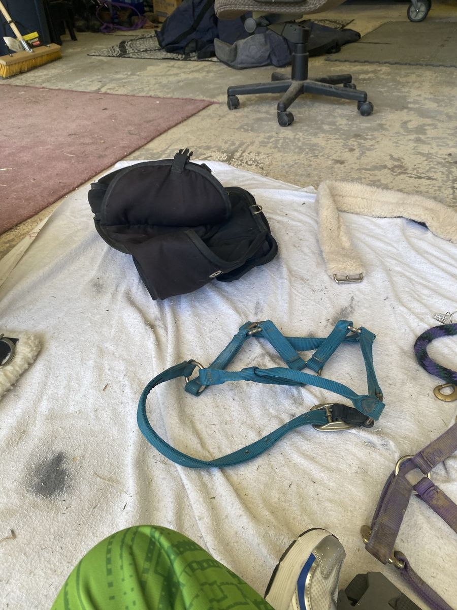 All kinds of tack for sale