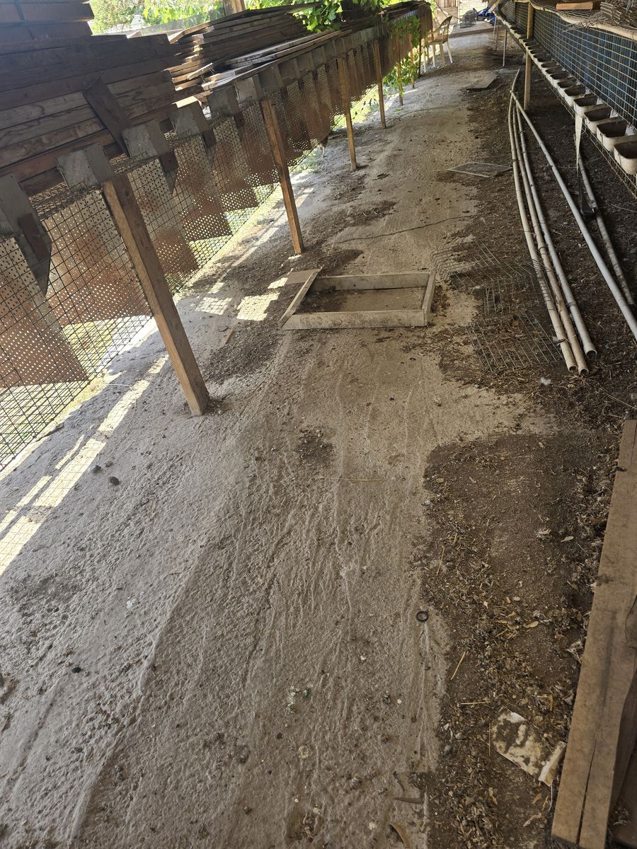 Main image 2