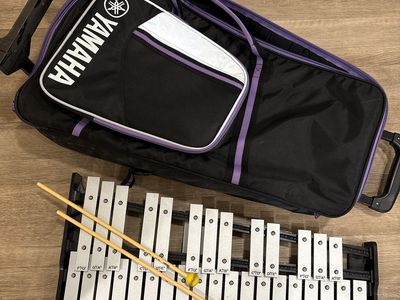 Beginner percussion band kit