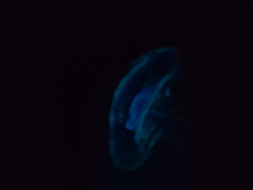 Main image 2