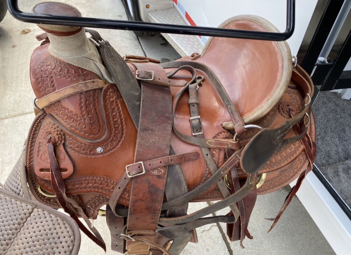 16 Billy Cook Mule Saddle