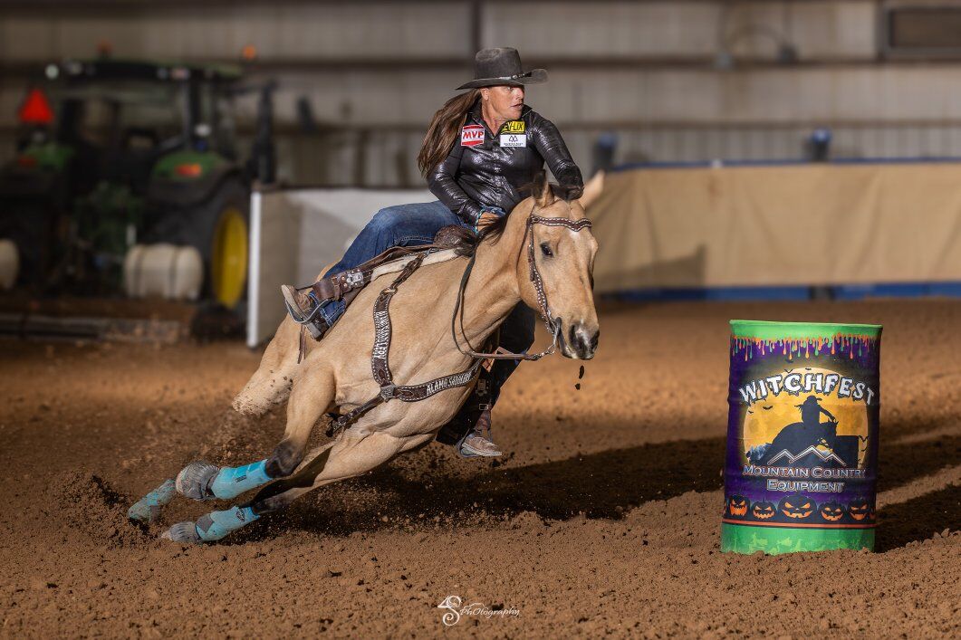 15 yo Appendix AQHA Buckskin Gelding