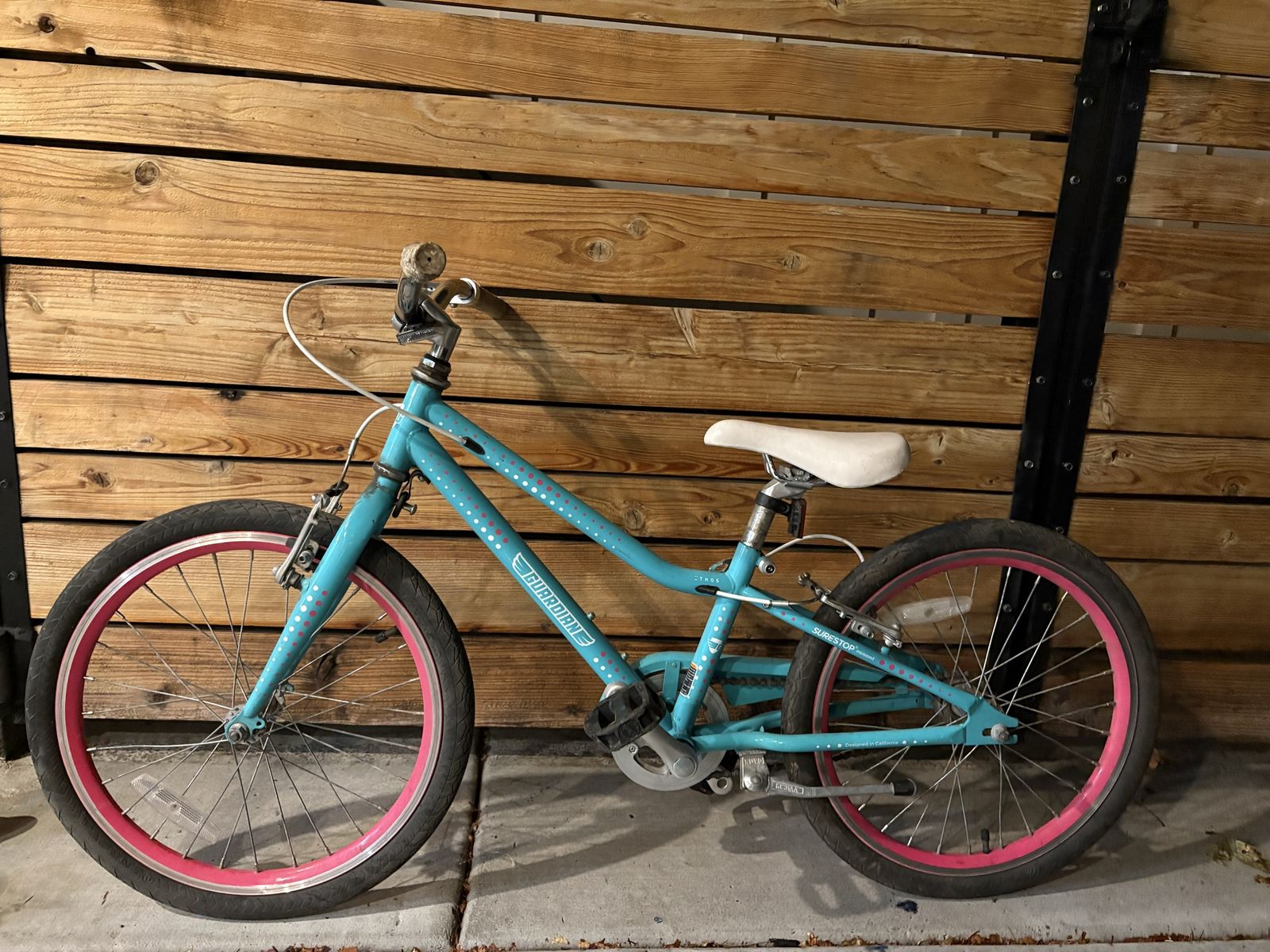 Guardian Kids Bike - Blue and Pink with SureStop Brakes  20”x1.5 tire