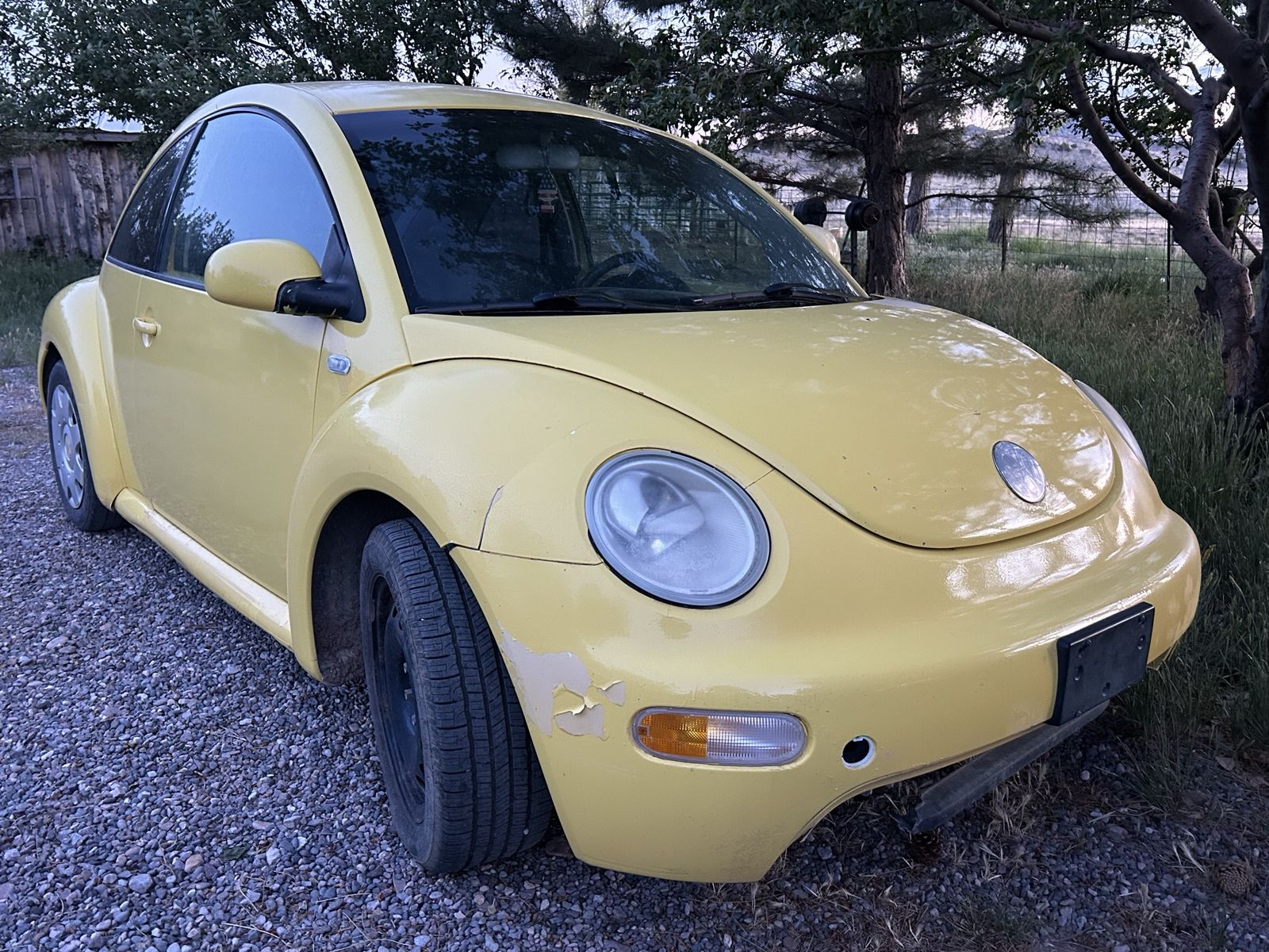 2002 Volkswagen Beetle 