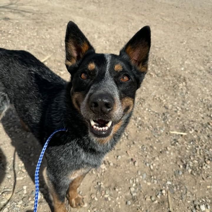 Hello my name is Shawn