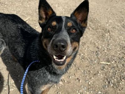 Hello my name is Shawn