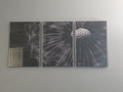 Black and White Dandelion Triptych Wall Art Set of 3 Framed Prints