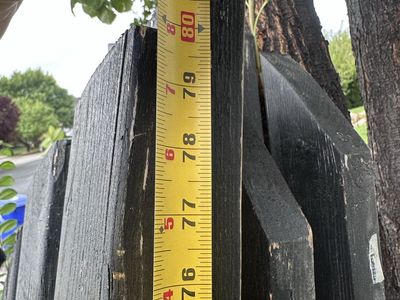8 Black Wood shutters