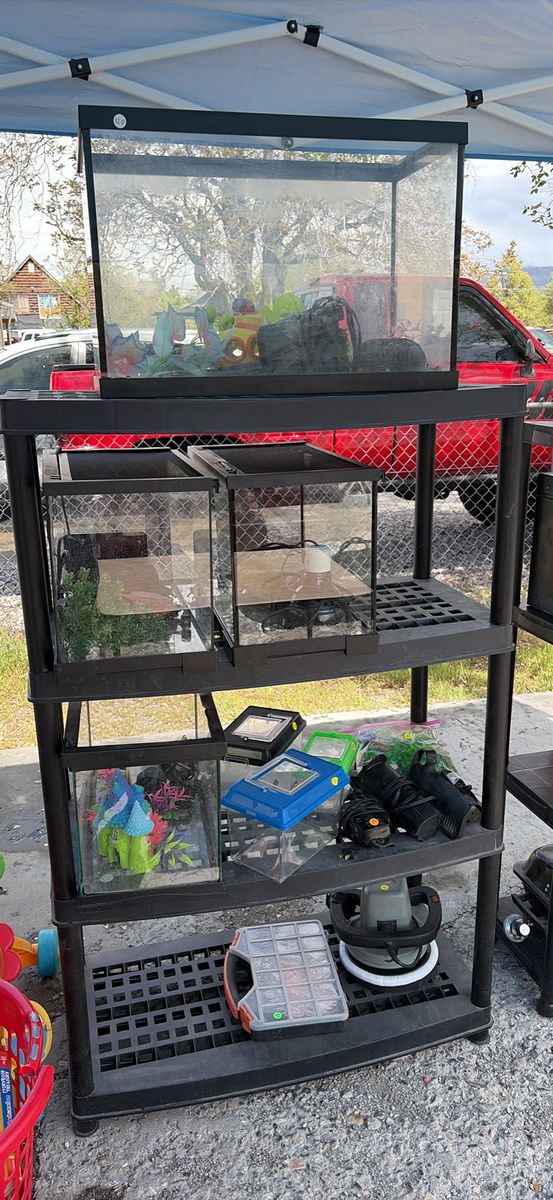 Fish And Reptiles Tanks