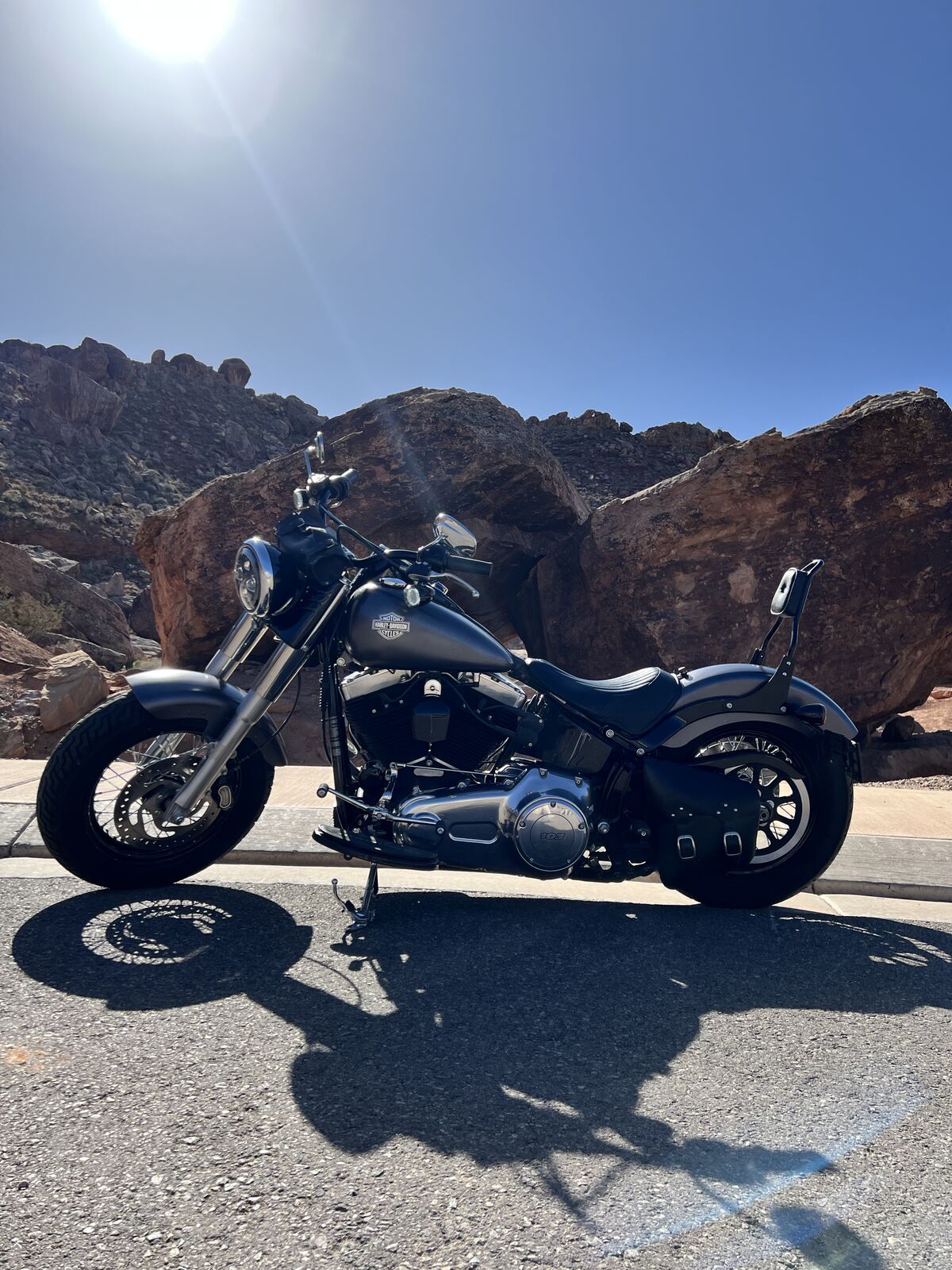 2015 Harley Davidson custom soft tail