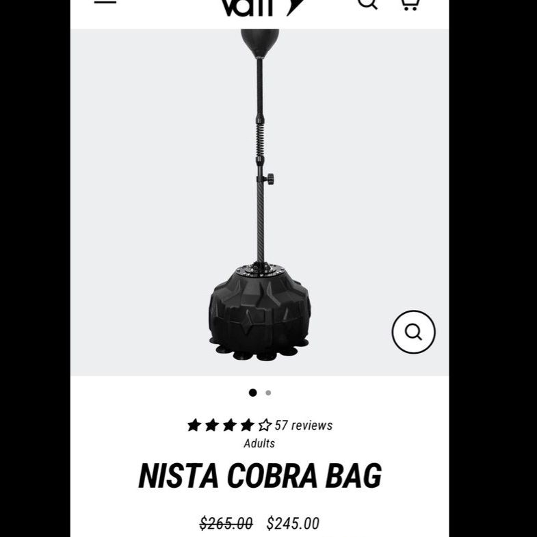 MMA/Boxing cobra bag